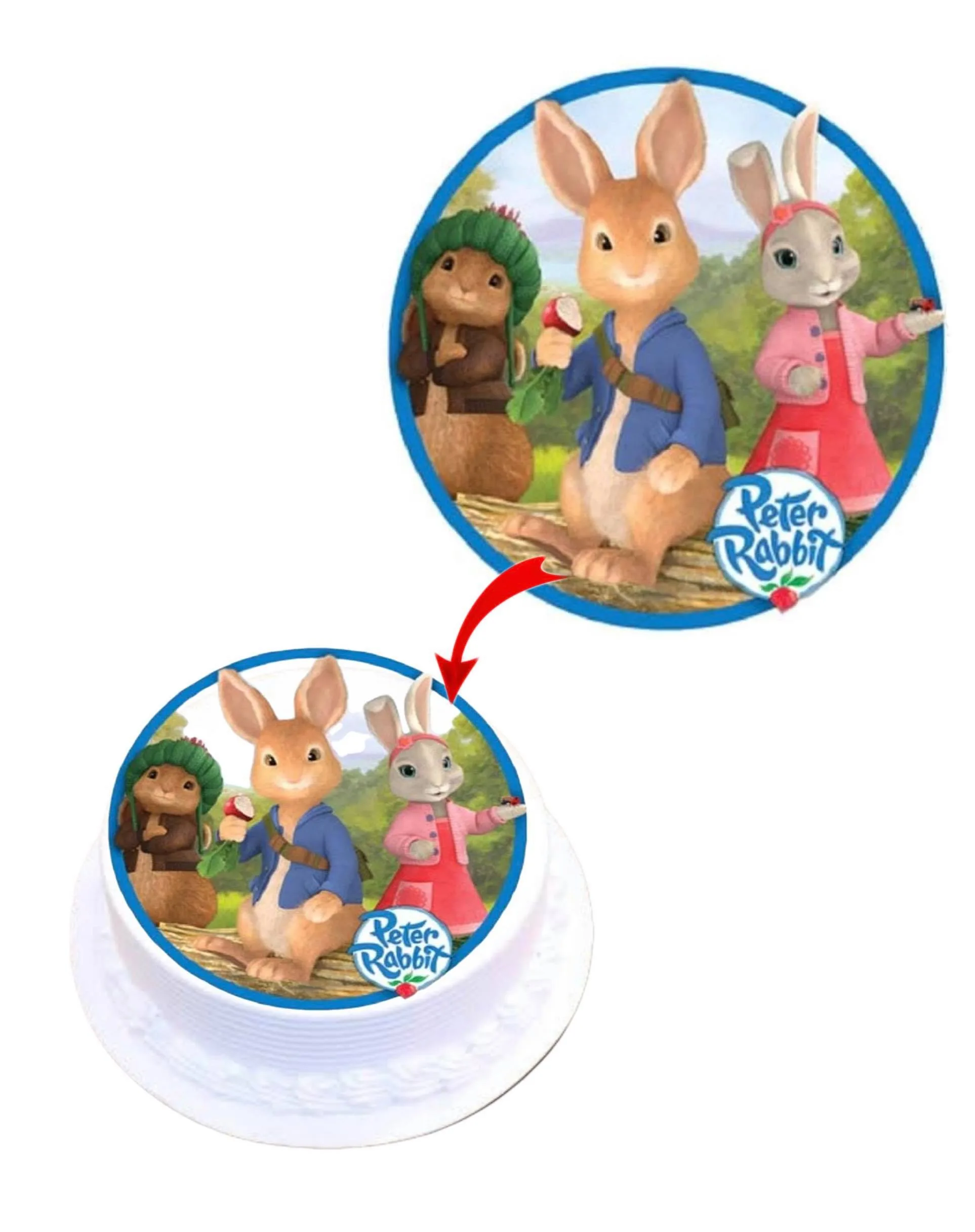 Peter Rabbit Edible Cake Topper Round Images Cake Decoration