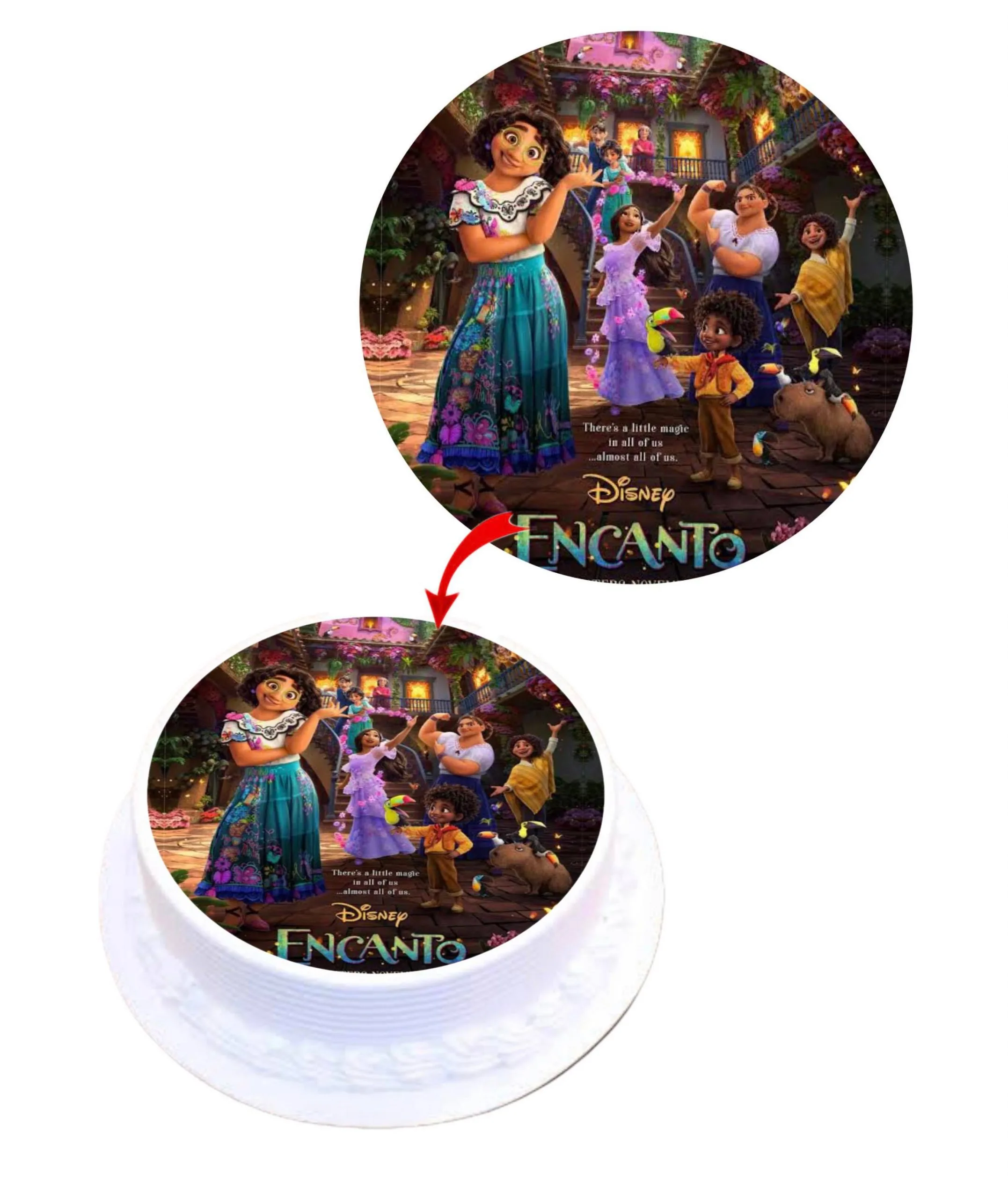 Dismey Encanto Edible Cake Topper Round Images Cake Decoration