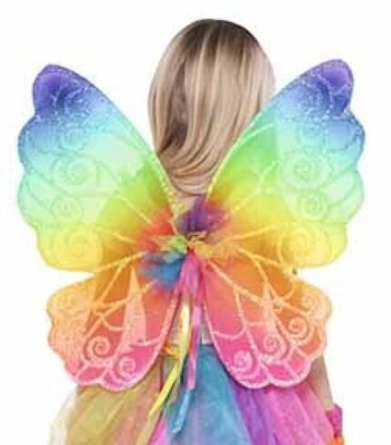 Rainbow Fairy Wings