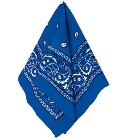 Bandana – Blue