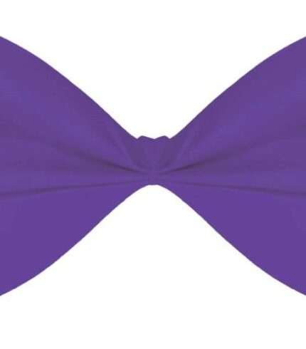 Bowtie – Purple