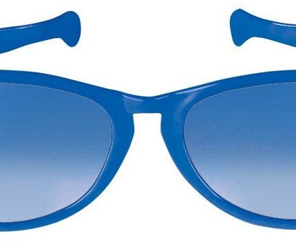 Jumbo Glasses – Blue